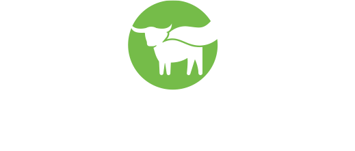 bm_logo2-1